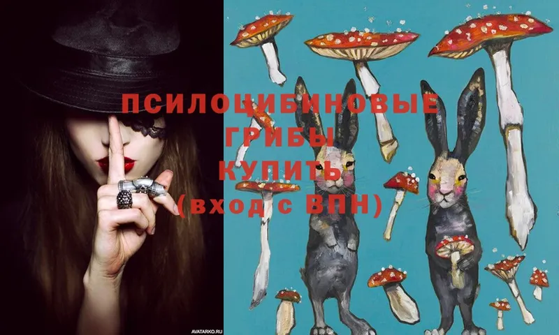 Галлюциногенные грибы MAGIC MUSHROOMS  где купить наркотик  Котово 